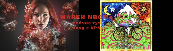 шишки Краснотурьинск
