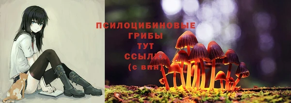 метадон Краснослободск