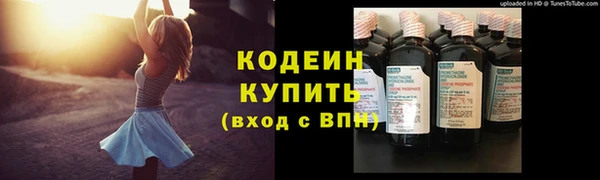 шишки Краснотурьинск