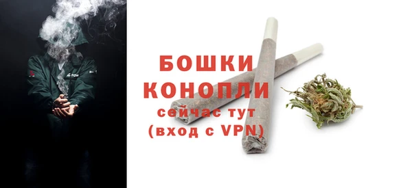 шишки Краснотурьинск