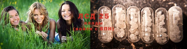 шишки Краснотурьинск