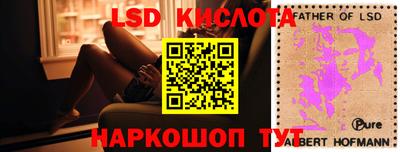 амф Заволжье