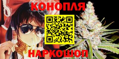 сатива Жуковский
